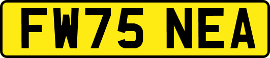 FW75NEA