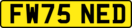 FW75NED