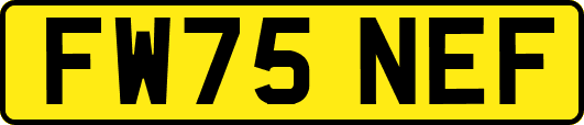 FW75NEF