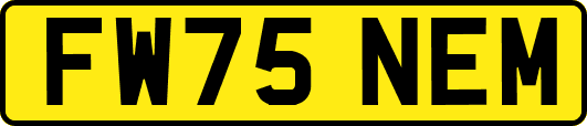 FW75NEM