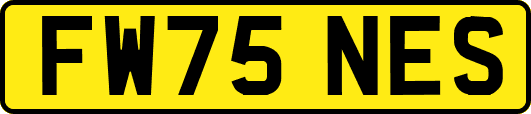 FW75NES