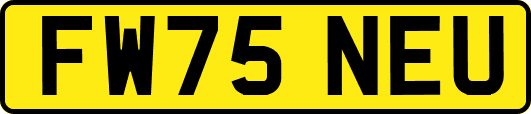 FW75NEU