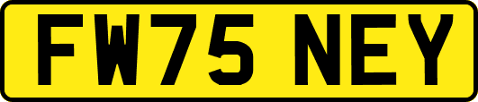 FW75NEY