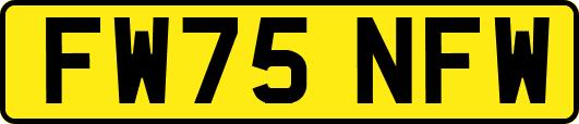 FW75NFW