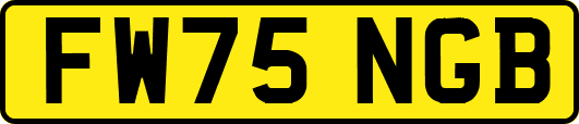 FW75NGB