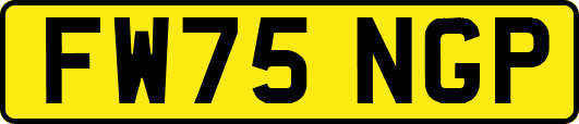 FW75NGP