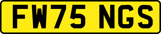 FW75NGS