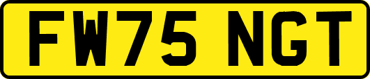 FW75NGT