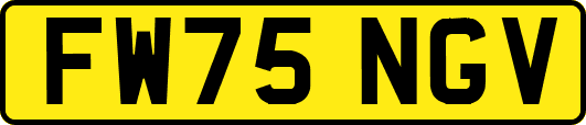 FW75NGV