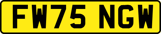 FW75NGW