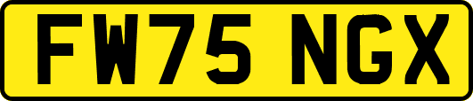 FW75NGX