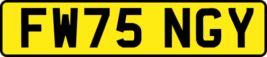 FW75NGY