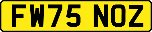 FW75NOZ