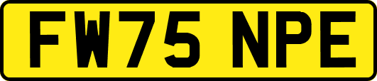 FW75NPE