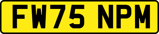 FW75NPM