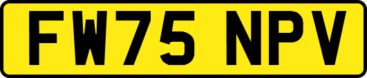FW75NPV