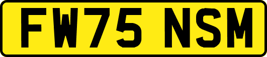 FW75NSM