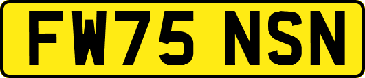 FW75NSN