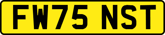 FW75NST