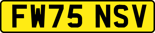 FW75NSV