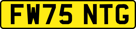 FW75NTG