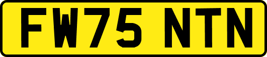 FW75NTN
