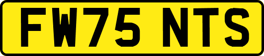 FW75NTS