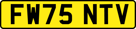 FW75NTV