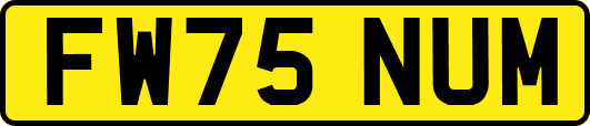 FW75NUM