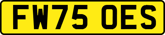 FW75OES