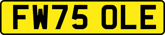FW75OLE