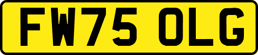 FW75OLG