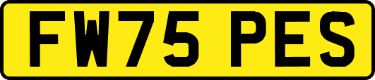 FW75PES