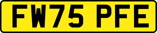FW75PFE