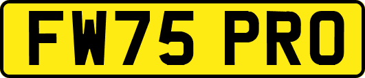 FW75PRO