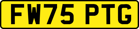 FW75PTG