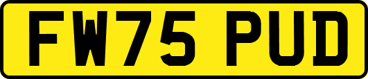 FW75PUD
