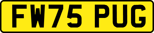FW75PUG