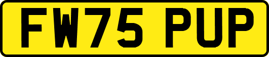 FW75PUP