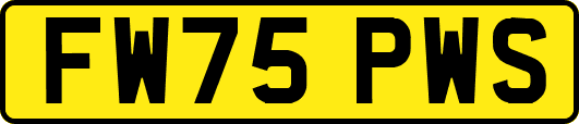 FW75PWS