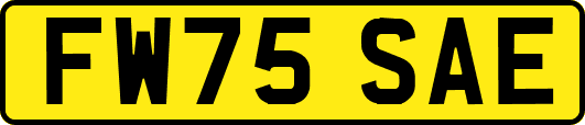 FW75SAE