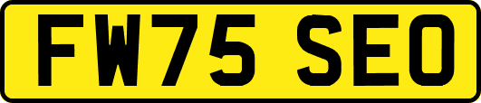 FW75SEO