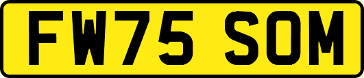 FW75SOM