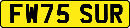 FW75SUR