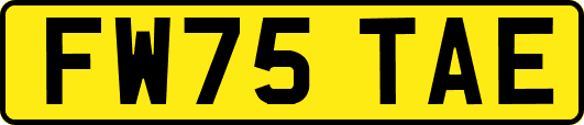 FW75TAE