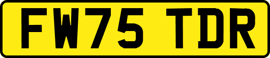 FW75TDR