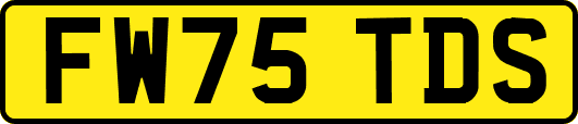 FW75TDS