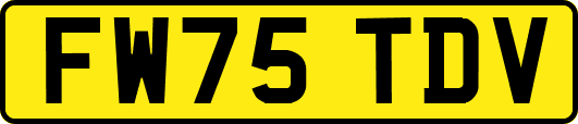FW75TDV
