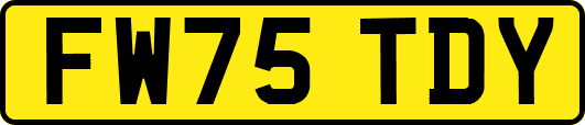 FW75TDY