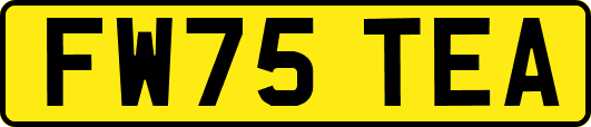 FW75TEA